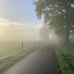 Pluk Het Geluk Dom wakacyjny *