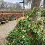 Pluk Het Geluk