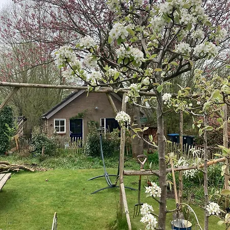 Pluk Het Geluk Holiday home *
