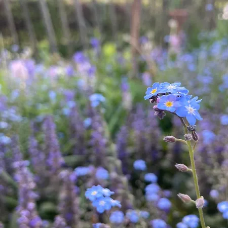 Pluk Het Geluk Semesterbostad *