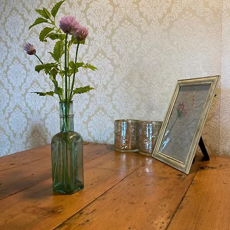 Pluk Het Geluk Tatil Evi Laag-Soeren
