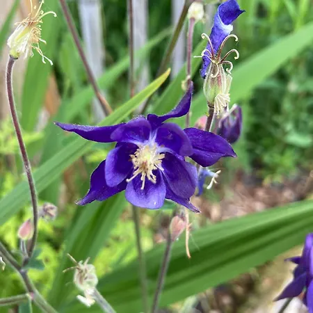 Casa vacanze Pluk Het Geluk