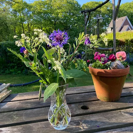 Pluk Het Geluk * Laag-Soeren