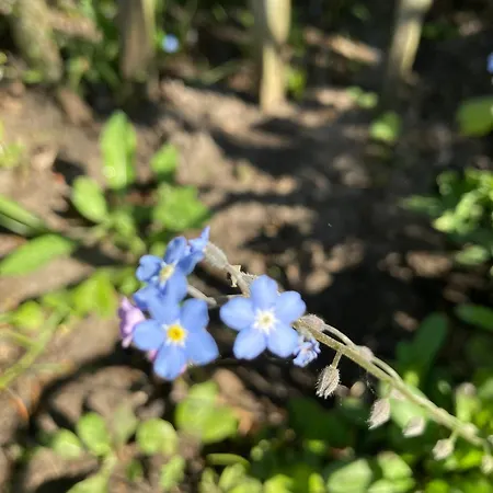 Pluk Het Geluk Casa vacanze Laag-Soeren