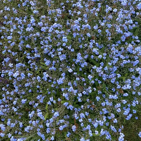 Casa vacanze Pluk Het Geluk Laag-Soeren