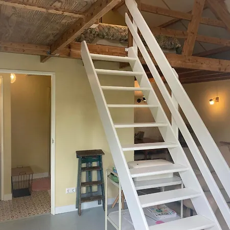 Pluk Het Geluk Tatil Evi *