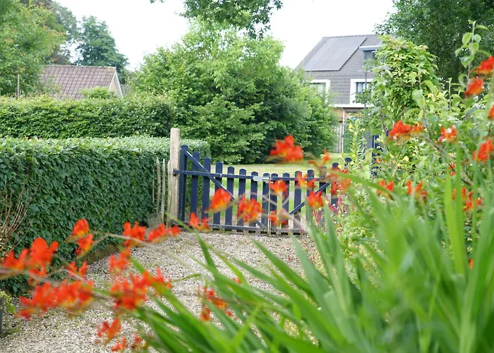 Pluk Het Geluk Laag-Soeren