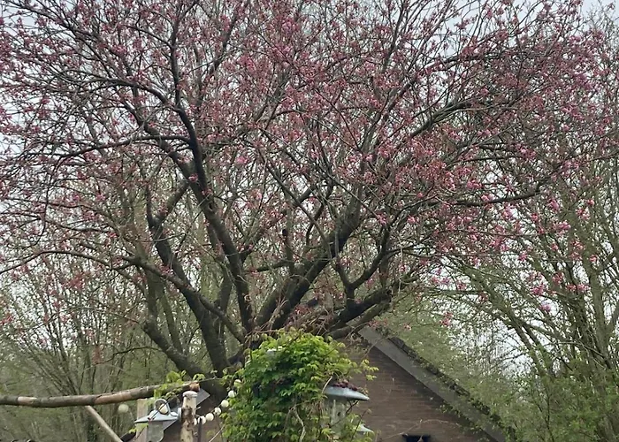 Pluk Het Geluk Laag-Soeren