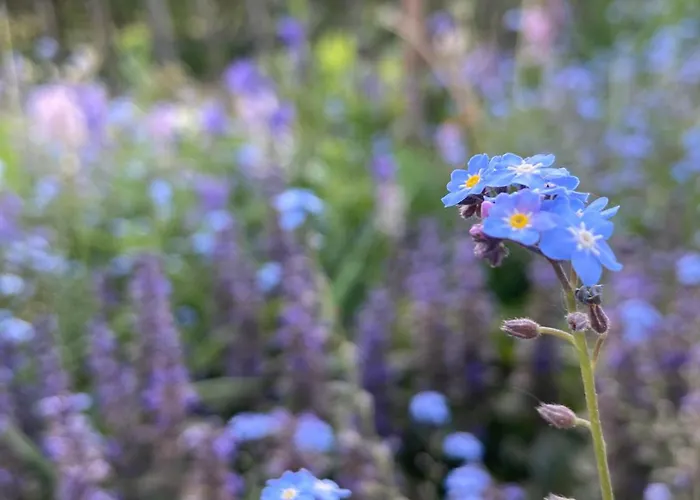 Pluk Het Geluk Semesterbostad *