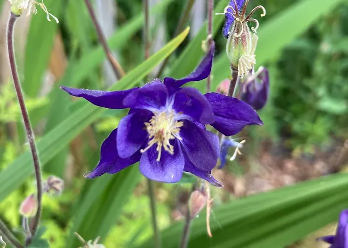 Semesterbostad Pluk Het Geluk