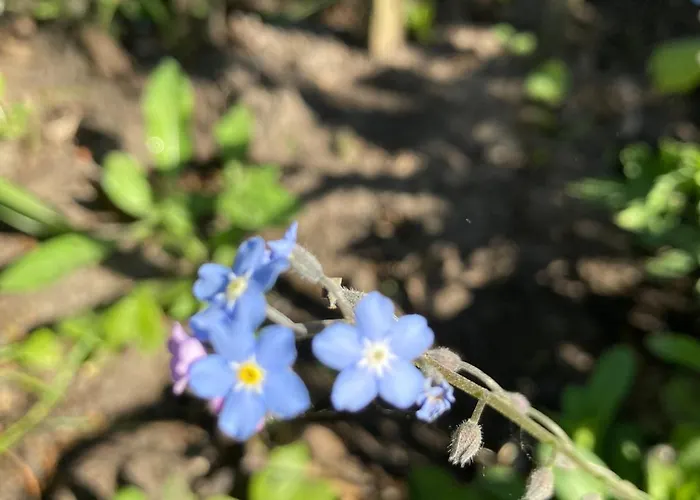 Pluk Het Geluk 度假居 Laag-Soeren