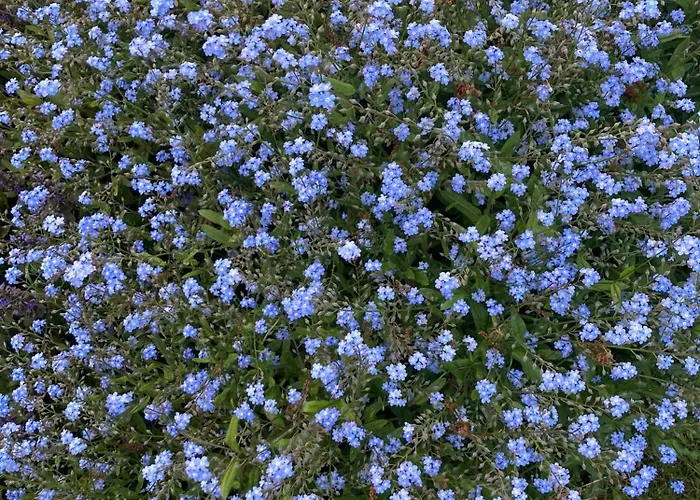 度假居 Pluk Het Geluk Laag-Soeren