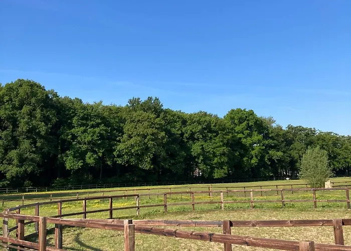 Pluk Het Geluk 度假居 Laag-Soeren