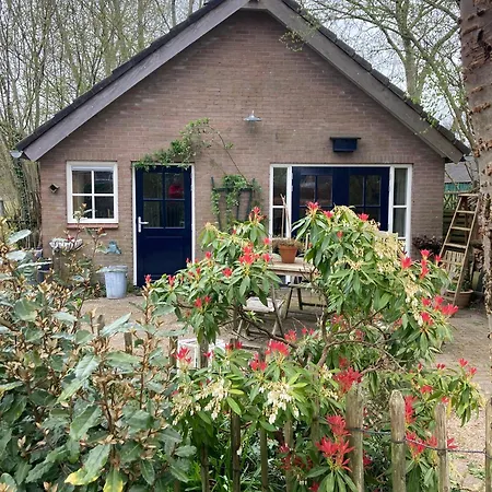Vakantiehuis Pluk Het Geluk