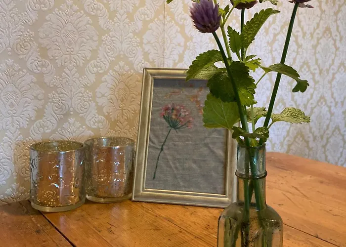 בית נופש Pluk Het Geluk