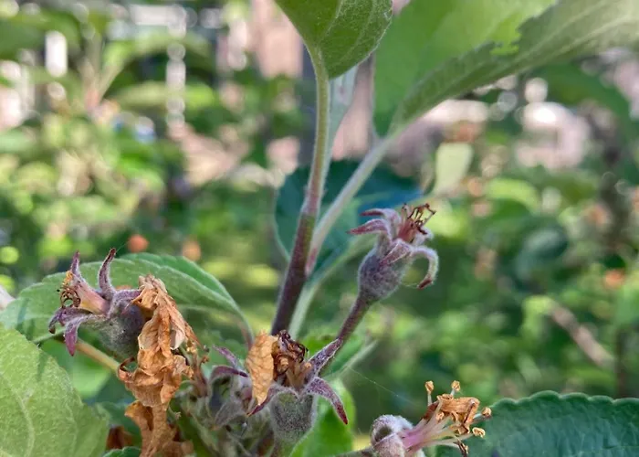 בית נופש Pluk Het Geluk *