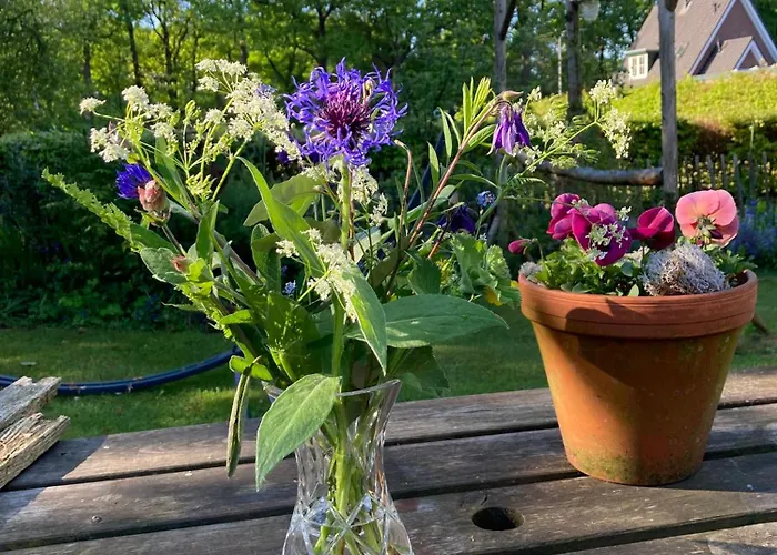 Pluk Het Geluk * Laag-Soeren